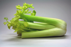 How to grow celery in the garden