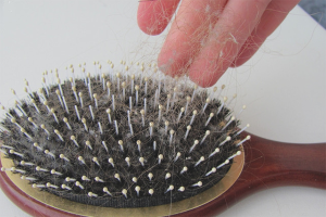 How to brush a comb