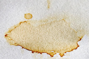 How to remove a greasy stain from paper