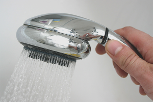 How to clean a watering can of a shower of lime scale