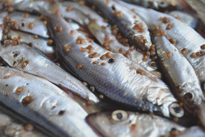 How to salt a sprat