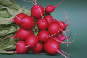 How to store radish