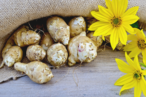 How to store Jerusalem artichoke