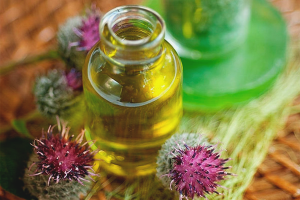 Burdock oil for hair