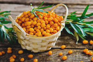 The benefits and harms of sea buckthorn