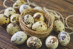 The benefits and harms of quail eggs