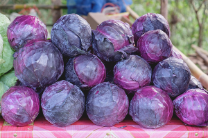 The benefits and harms of red cabbage