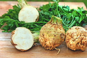 The benefits and harms of celery root