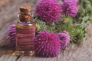 The benefits and harms of milk thistle oil