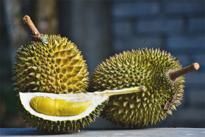 The benefits and harms of durian