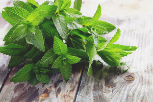 Benefits and harms of peppermint