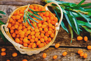 Sea buckthorn for hair