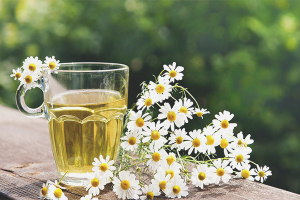 The benefits and harms of chamomile infusion