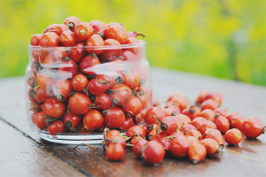 The benefits and harms of rose hips