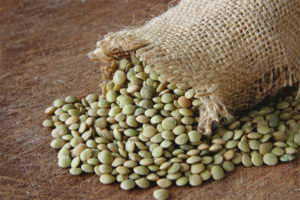 Lentils during pregnancy