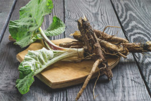 Medicinal properties and contraindications of burdock root