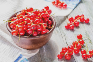 Redcurrant during pregnancy