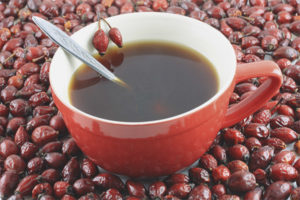 Rosehip decoction during pregnancy