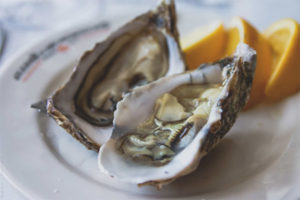 The benefits and harms of oysters