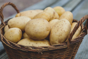 Breastfeeding Potato