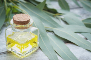 Eucalyptus oil