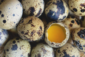 The benefits and harms of quail eggshell