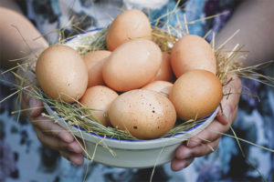 Can pregnant women eat eggs