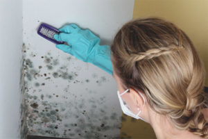 How to remove mold from walls in an apartment