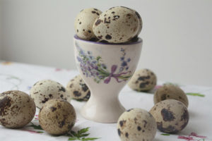 Quail eggs for gastritis