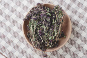 How to dry lemon balm