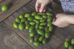 How to choose a feijoa