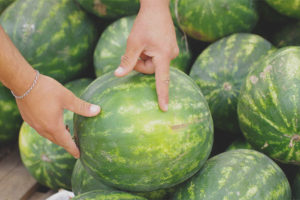 How to choose a ripe and sweet watermelon