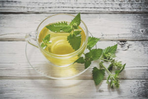 How to make tea with lemon balm