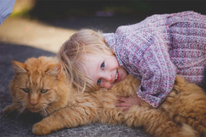 What breed of cats to choose for a child