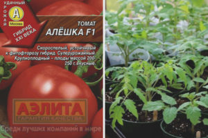 Tomato Alyoshka F1