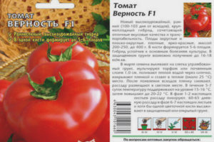 Tomato Fidelity F1