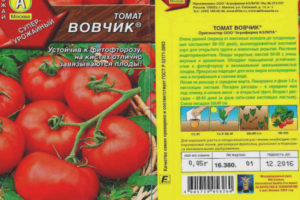 Tomato Vovchik