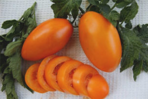 Tomato Golden Stream