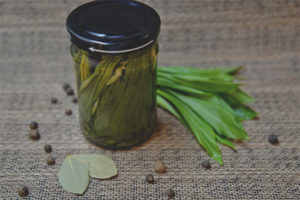 Pickled ramson