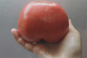 Tomato Leningrad Giant