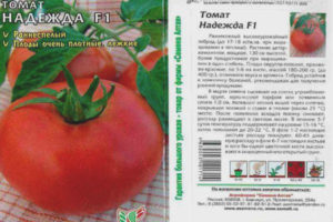 Tomato Nadezhda F1