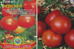 Tomato Nevsky