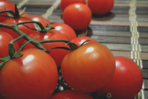 Tomato Peterhof