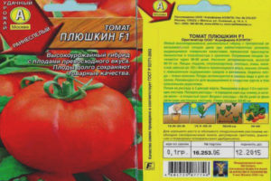 Tomato Plyushkin F1