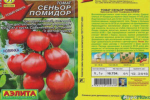 Tomato Senior Tomato