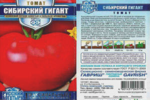 Tomato Siberian Giant