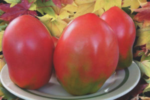 Tomato Solokha