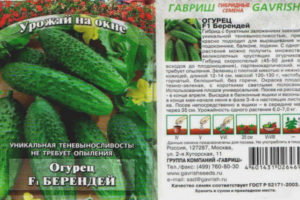 Cucumber Berendey F1