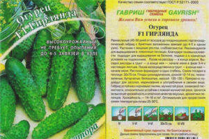 Cucumber Garland F1