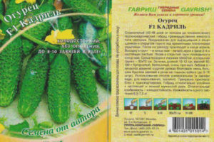 Cucumber Quadrille F1